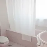 Sereia Da Oura * البوفيرا